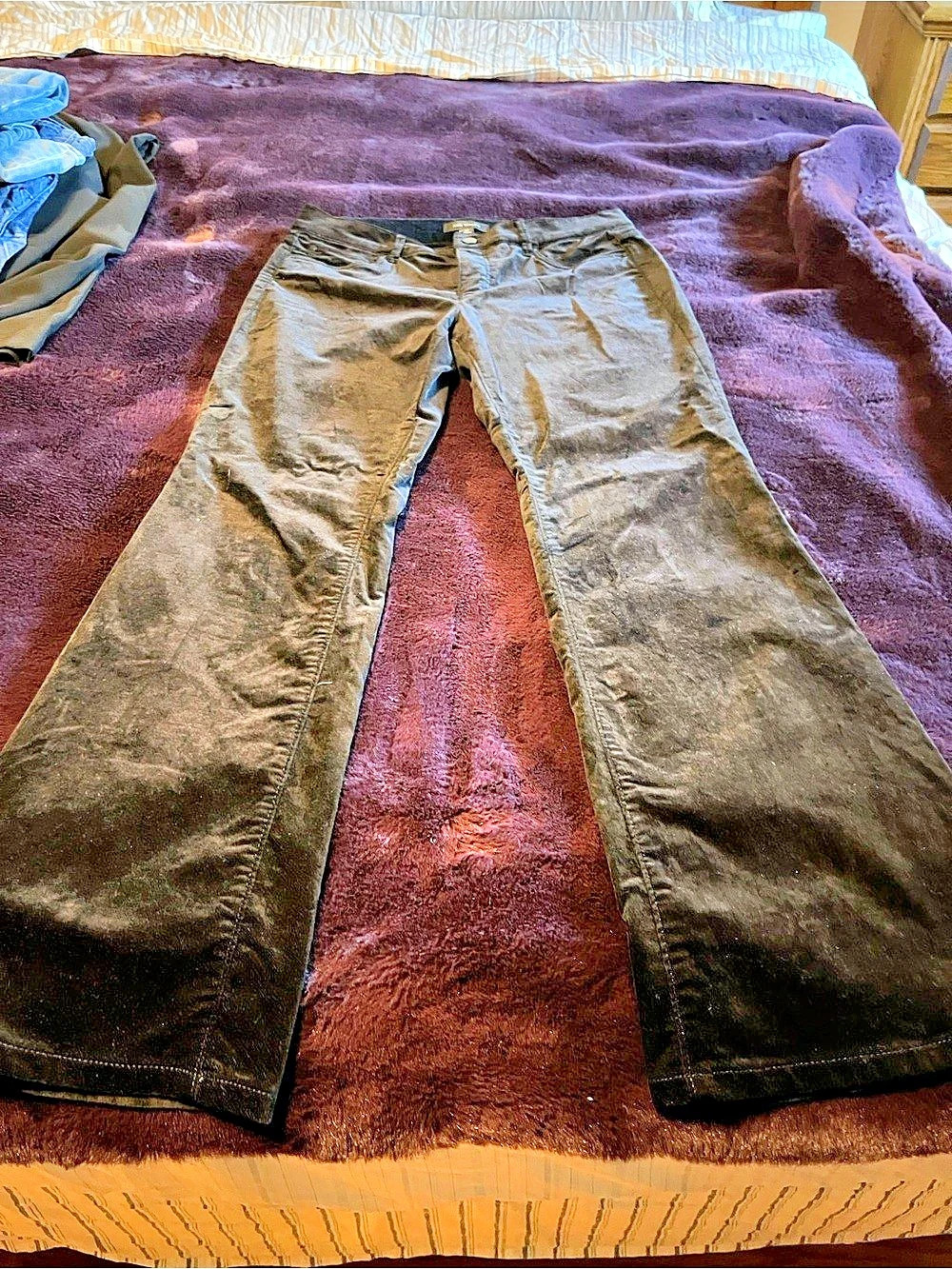 Ann Taylor Straight Leg Cotton Pants in Black
